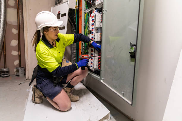 Best Local Electrician Companies  in Annandale, MN
