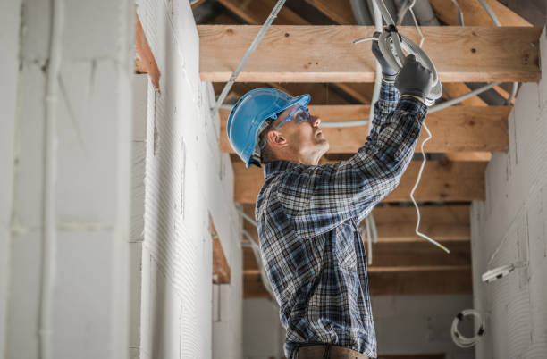 Best Ceiling Fan Installation Electrician  in Annandale, MN