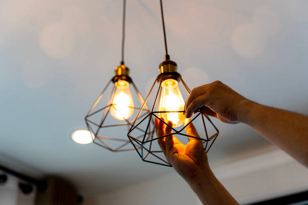 Best Local Electrician Companies  in Annandale, MN